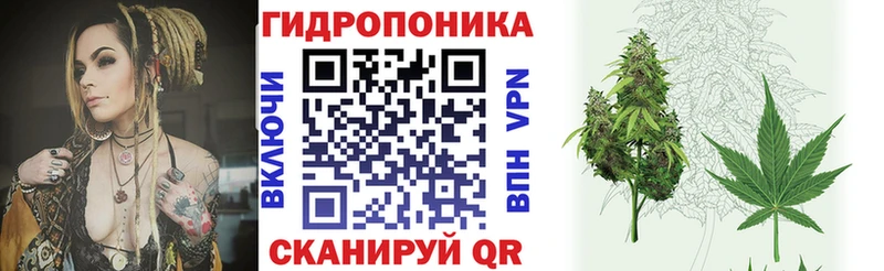 Купить закладки  Солигалич  Бошки марихуана тримм 